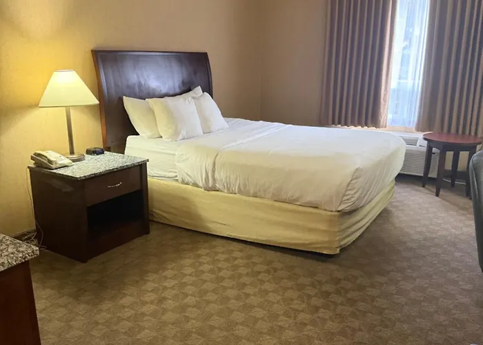 Comfort Inn & Suites