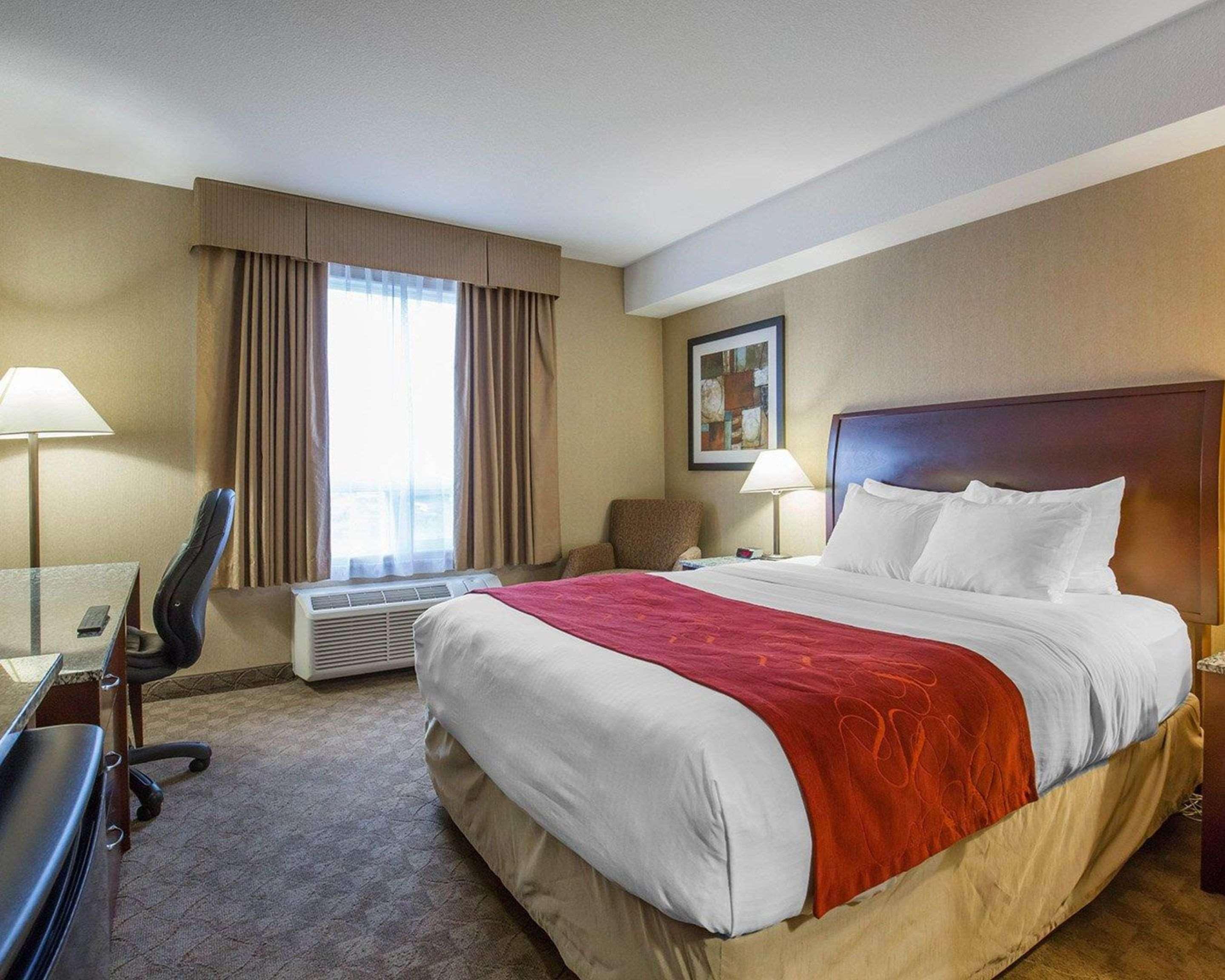 Comfort & Hotel