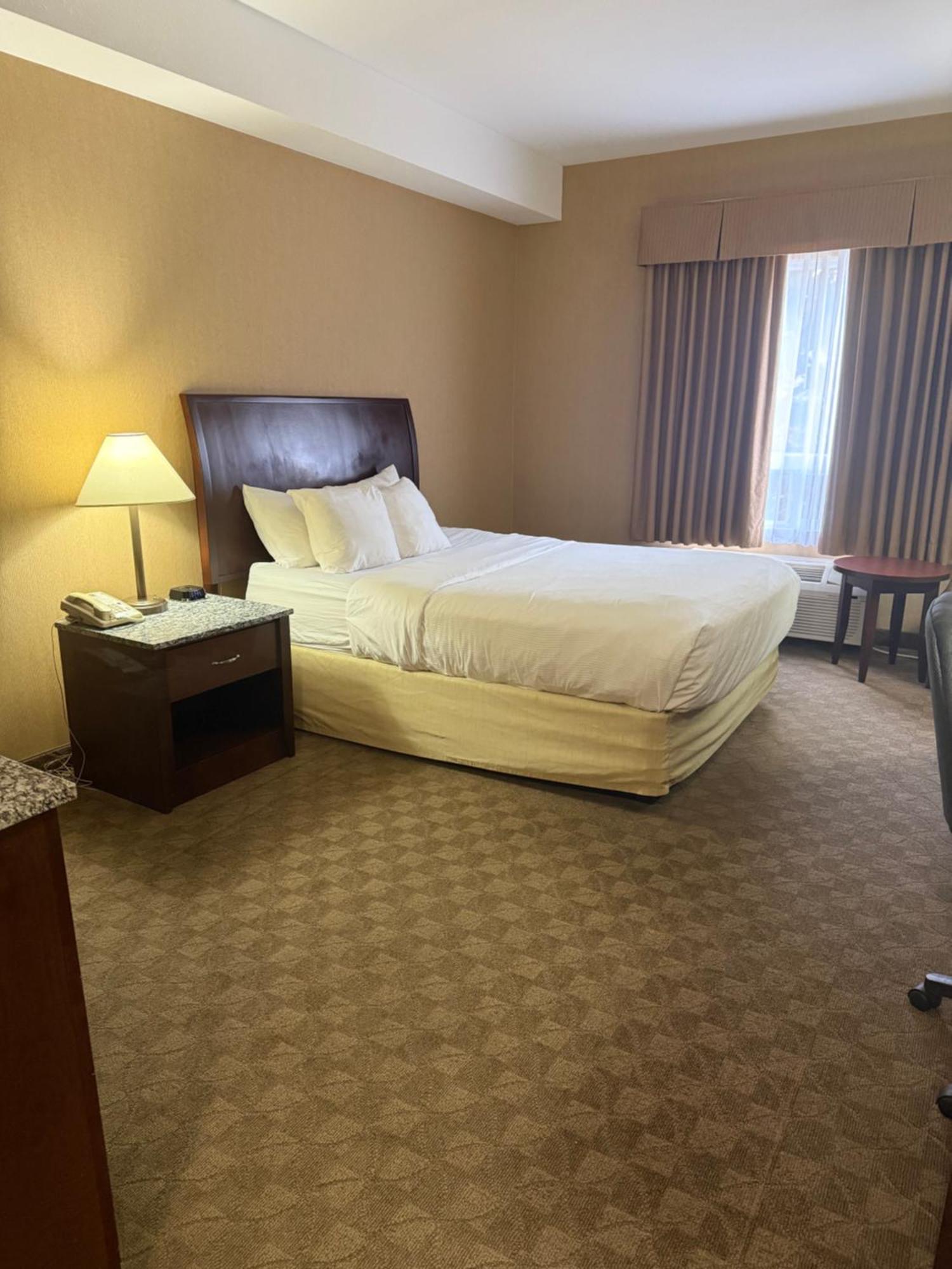 Comfort & Hotel